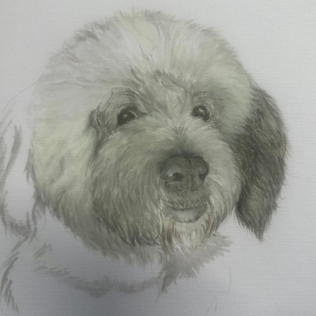 Untitled design (72)