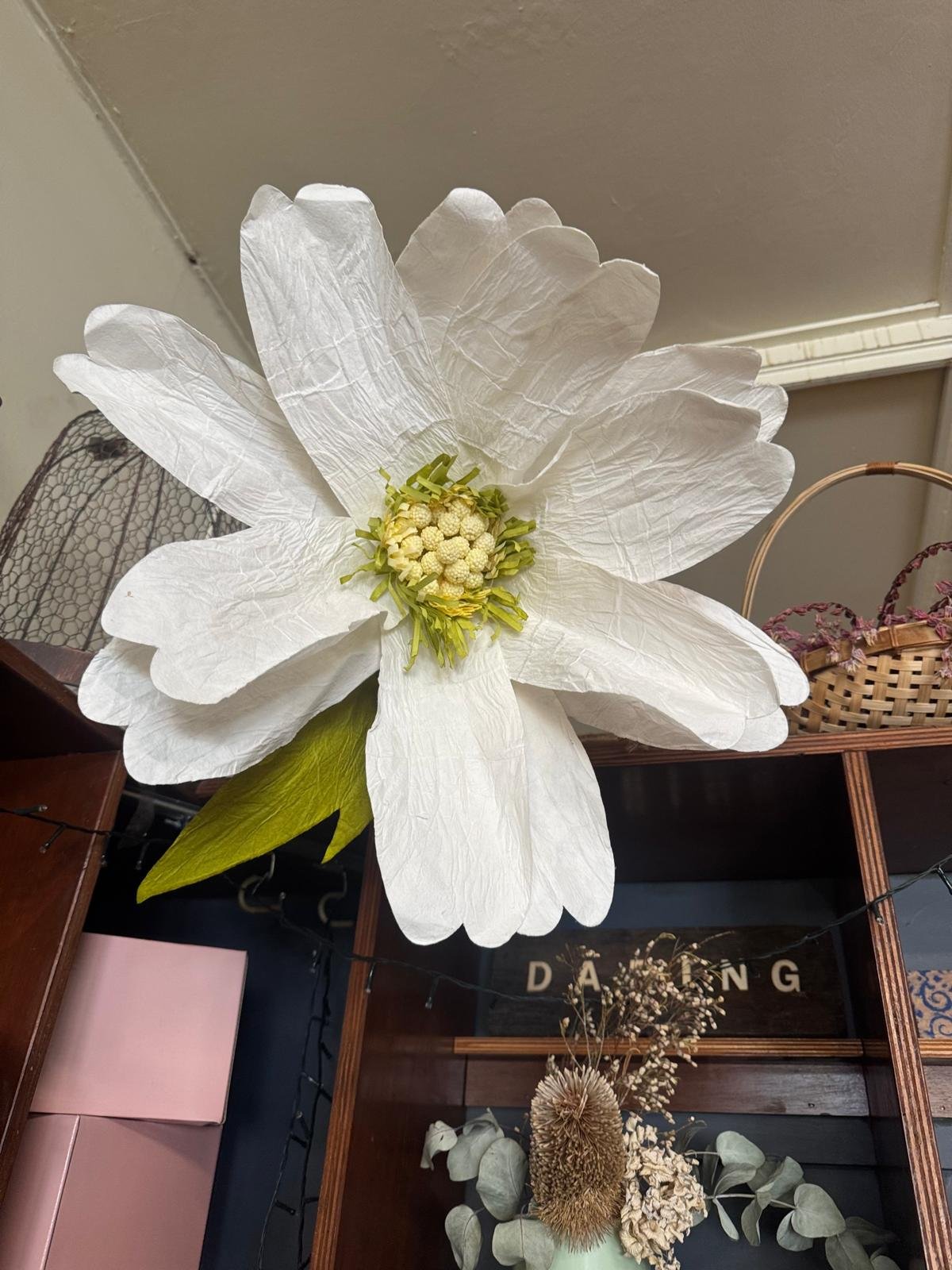 WhatsApp Image 2025-08-31 at 11.03.43_6227aa96