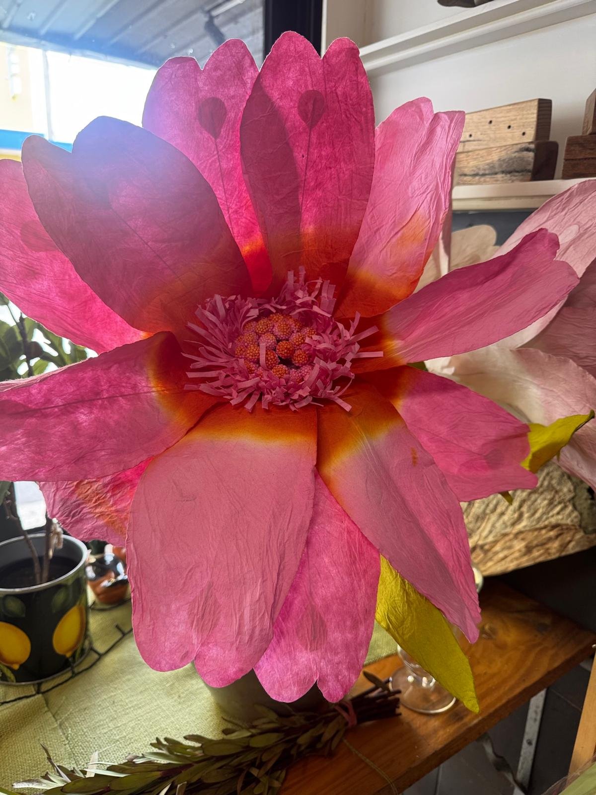 WhatsApp Image 2025-08-31 at 11.03.43_6eee578a