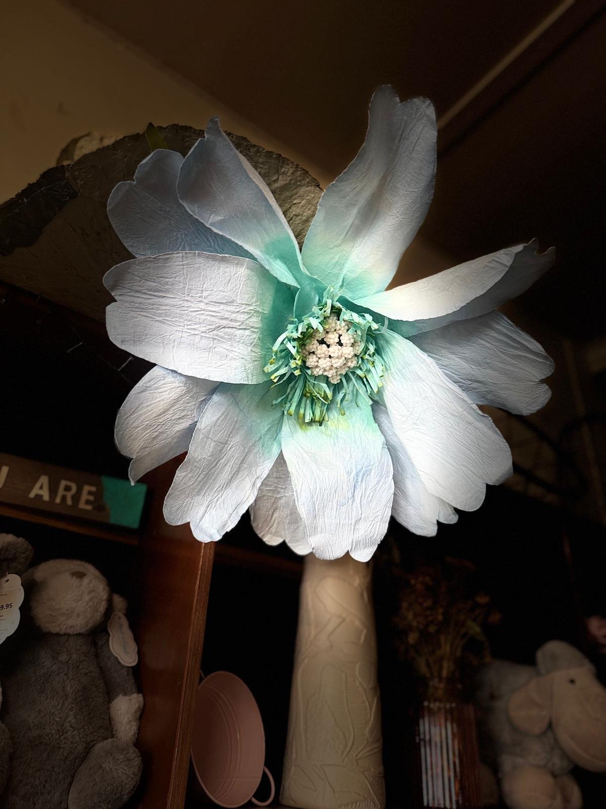 WhatsApp Image 2025-08-31 at 11.03.43_e6359850