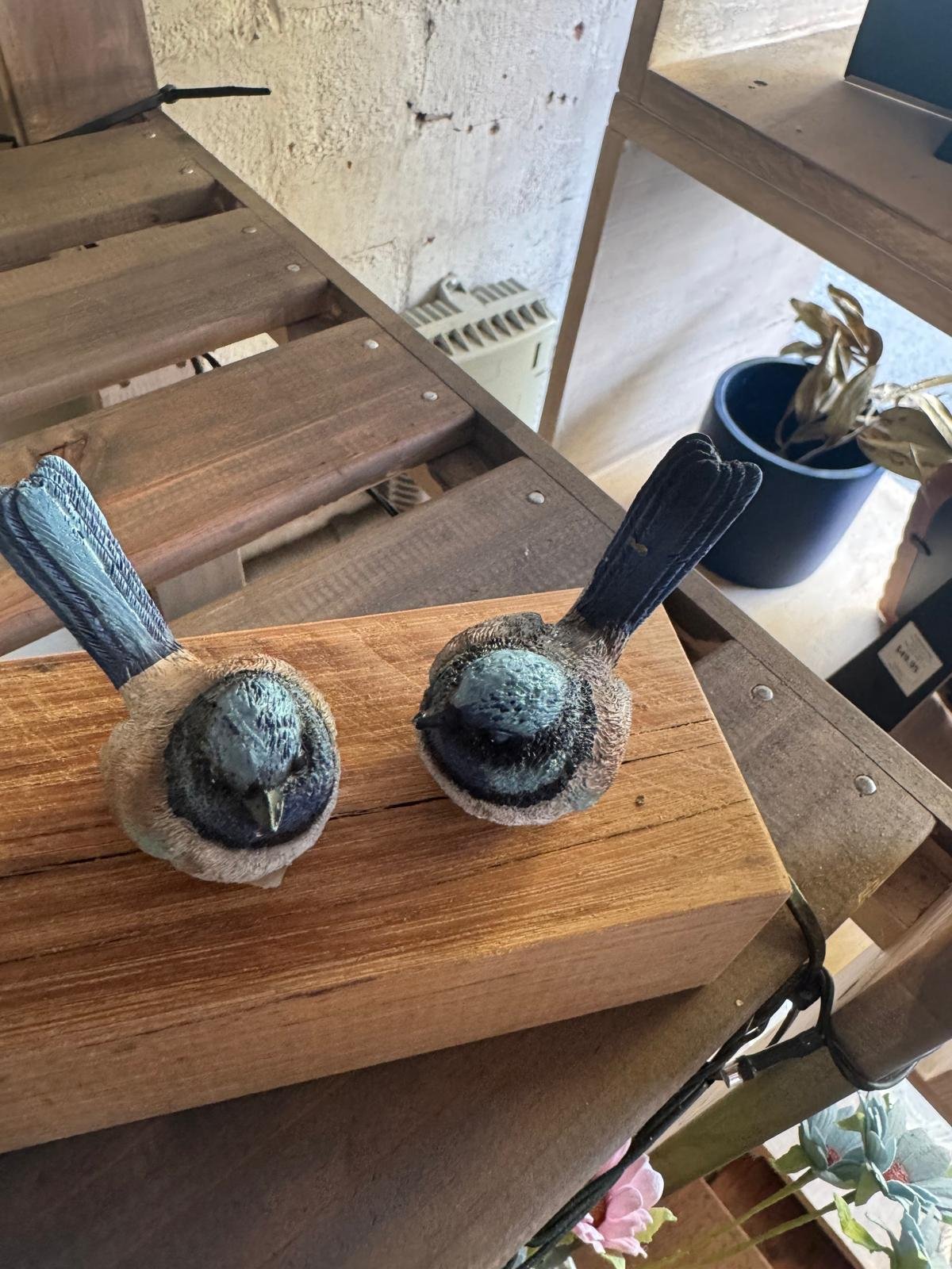 WhatsApp Image 2025-08-31 at 11.08.48_503e5c57