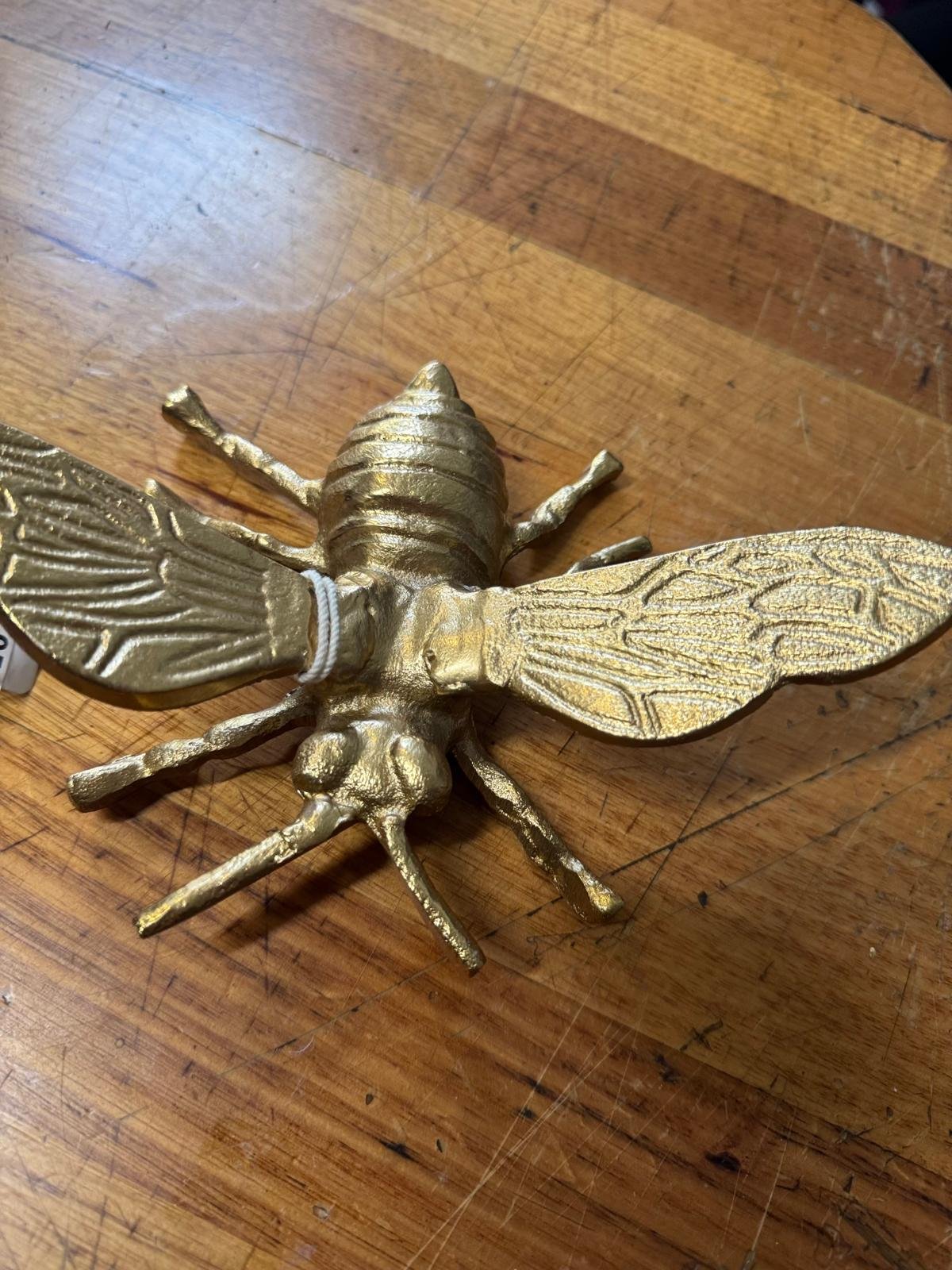 WhatsApp Image 2025-08-31 at 11.15.36_3fede9c9