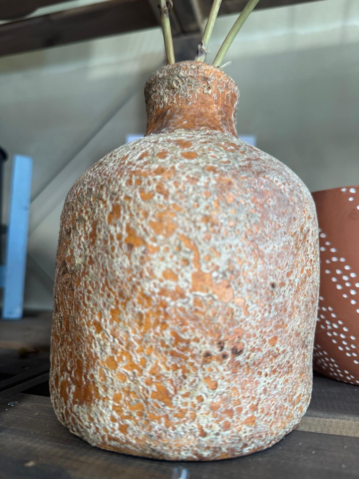 WhatsApp Image 2025-08-31 at 11.18.56_37a30bf2