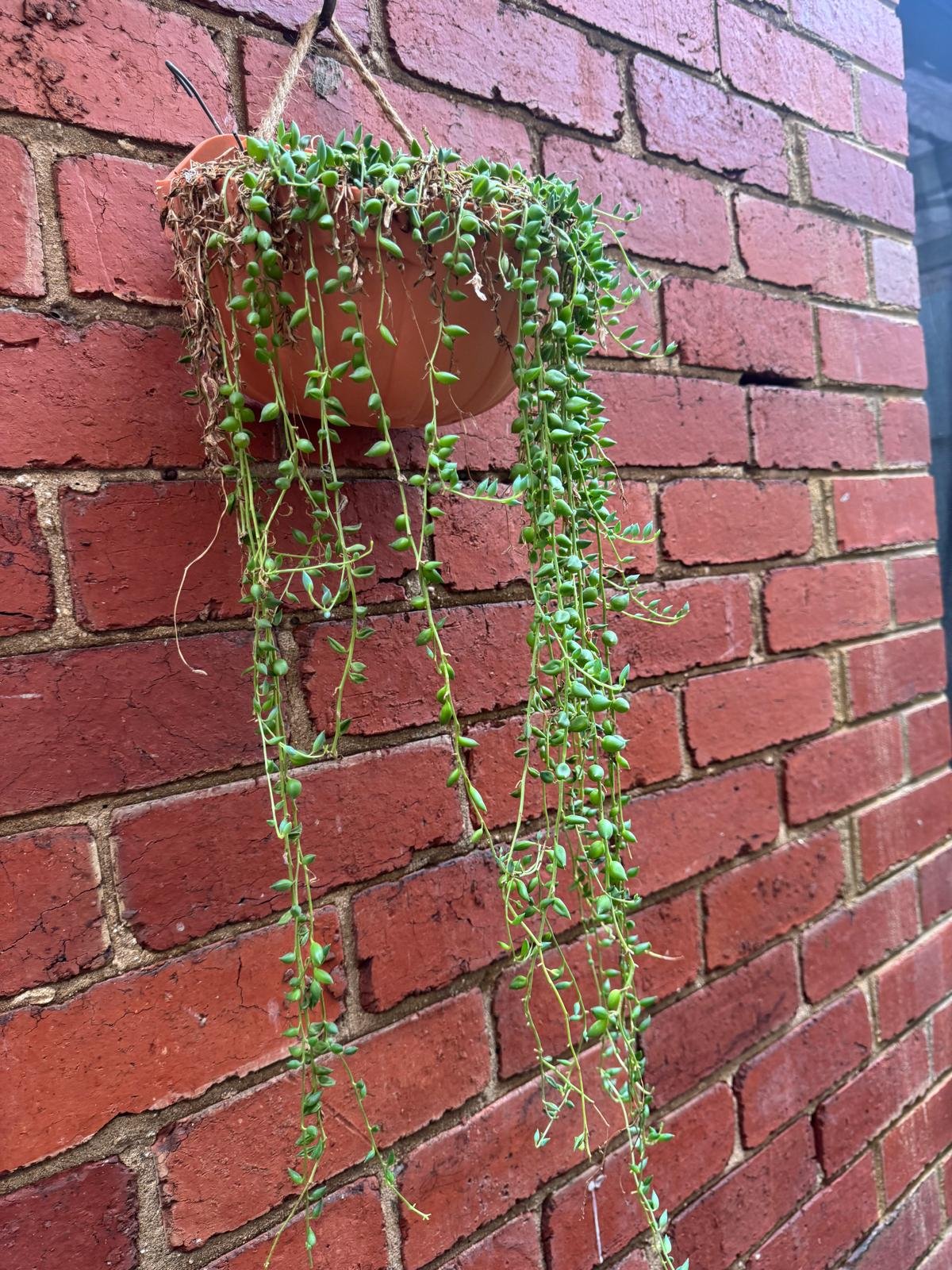 WhatsApp Image 2025-08-31 at 11.30.12_06c6a9f9