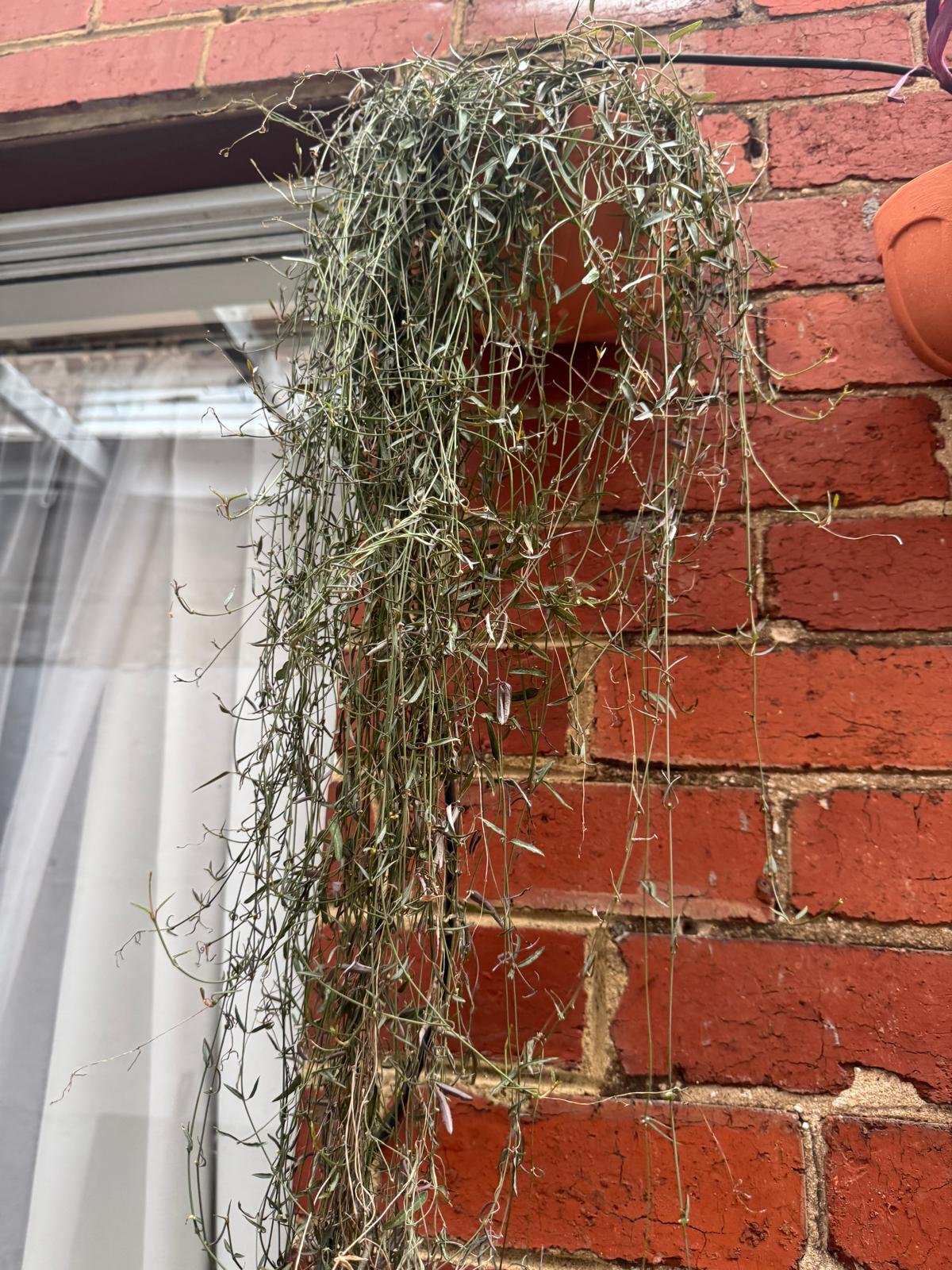 WhatsApp Image 2025-08-31 at 11.30.12_1d64d82e