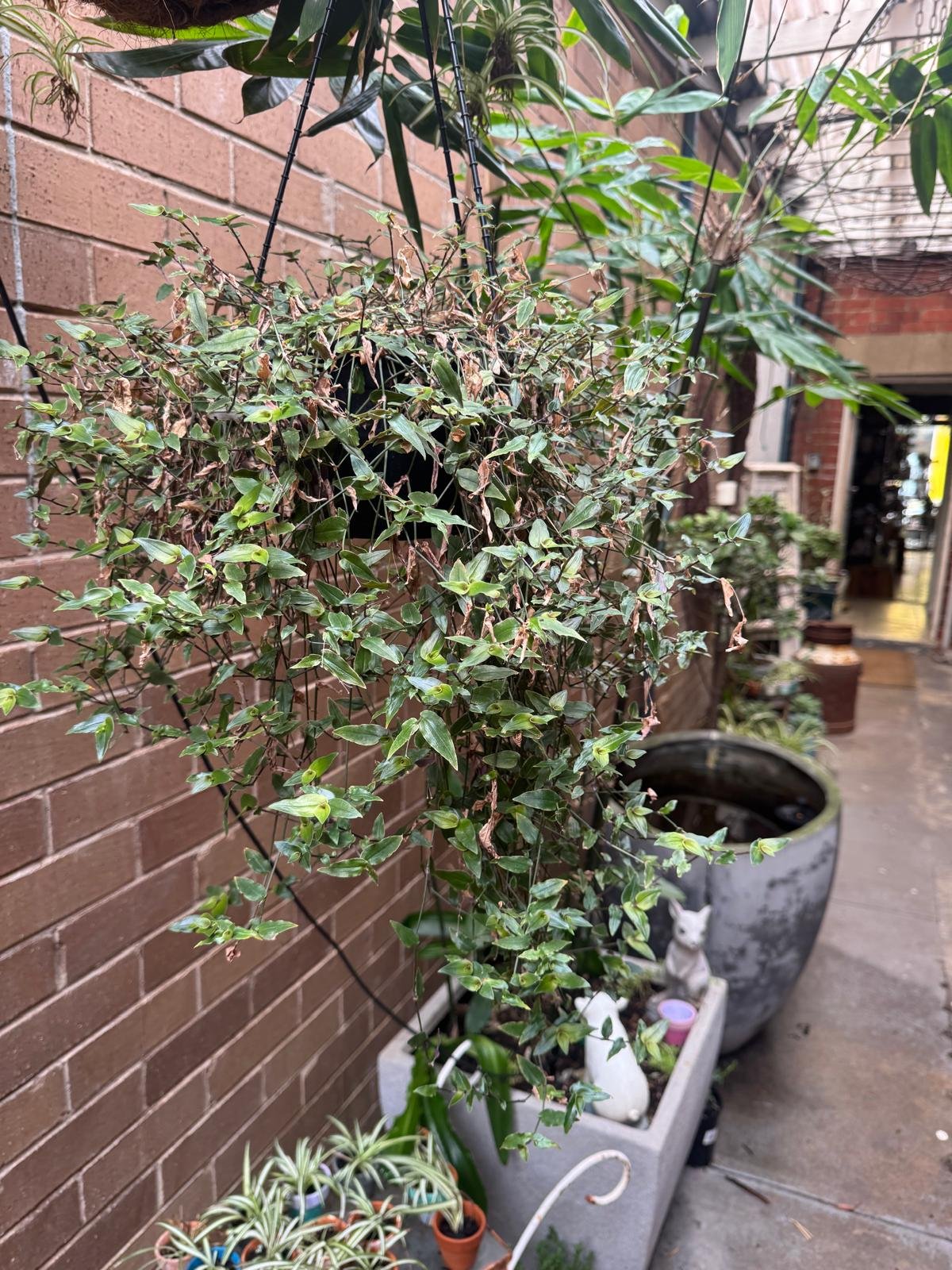 WhatsApp Image 2025-08-31 at 11.30.33_62f6d1b8