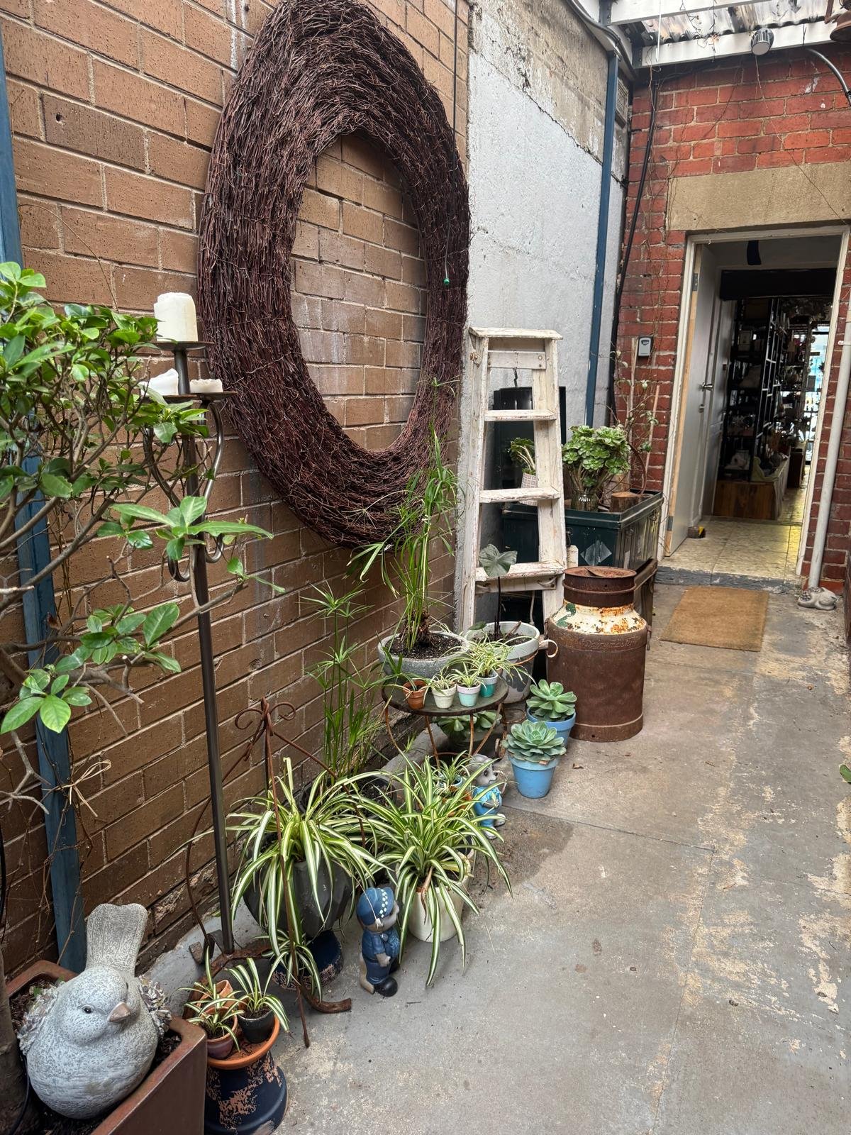 WhatsApp Image 2025-08-31 at 11.30.50_2d38c82a