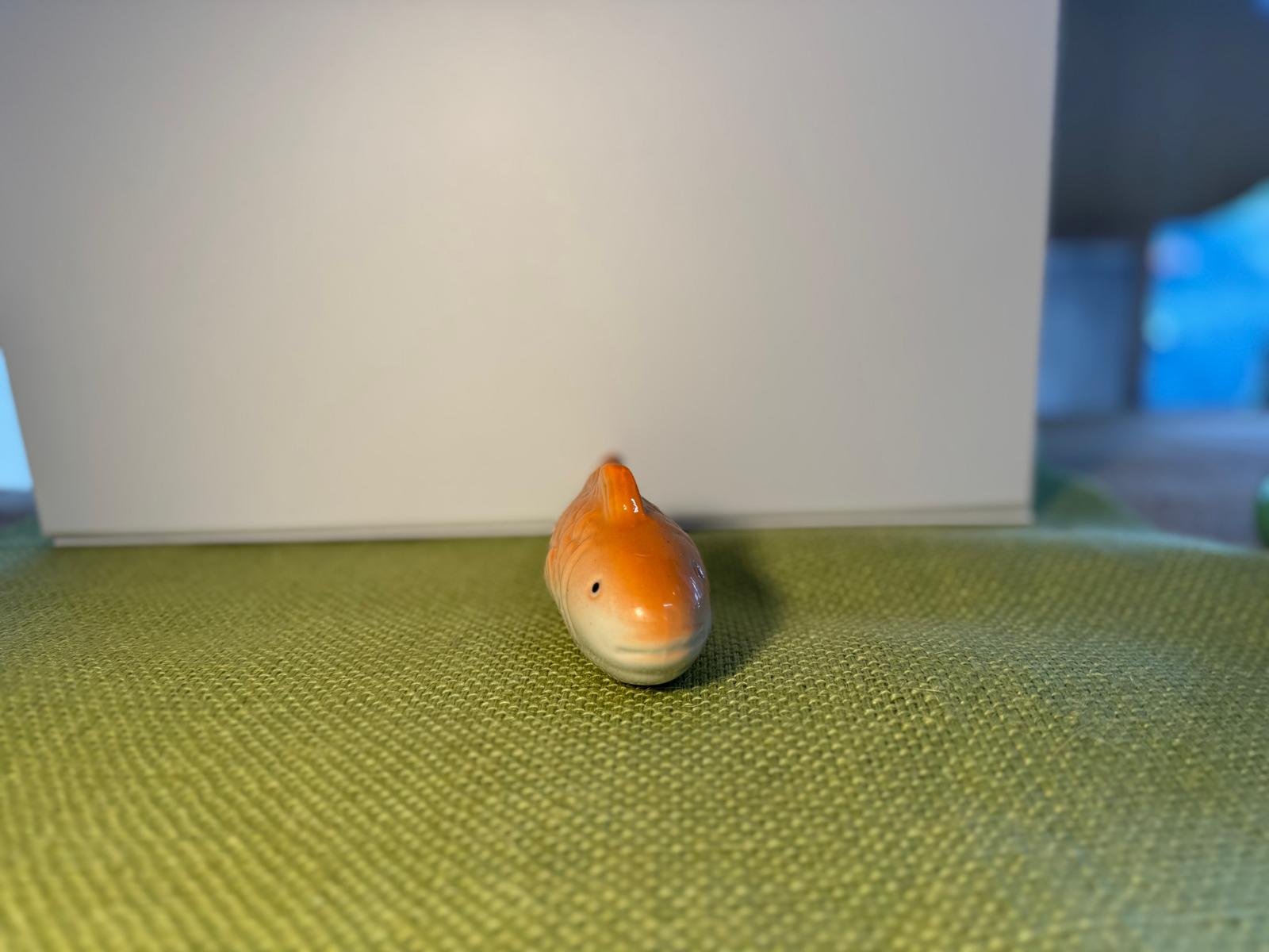 Floating orange fish