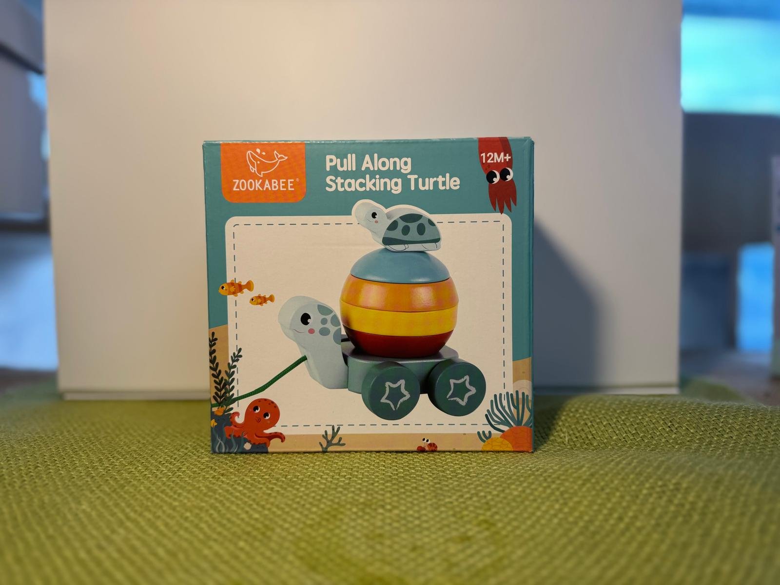 Pull Along Stacking turtle