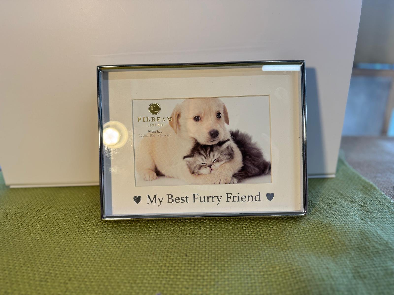 “Furry Friend” Display Frame